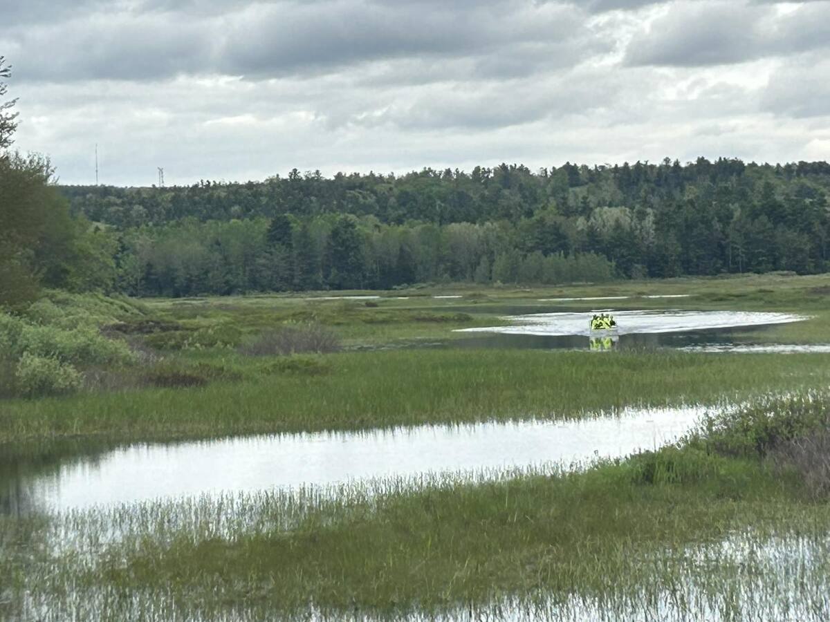 2 rescued after falling out of canoe into Orrington stream