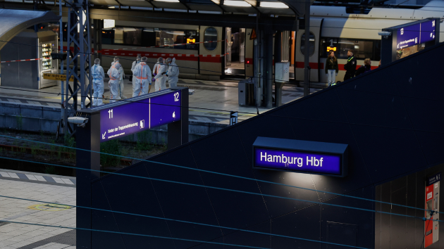 At least 12 people injured in Hamburg train station stabbing, suspect in custody: Authorities