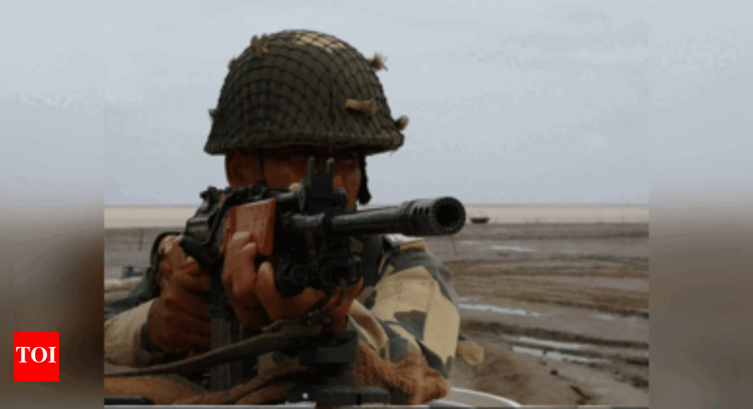 BSF eliminates Pakistani intruder at international border in Gujarat's Banaskantha | India News