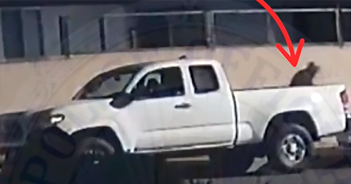 California man charged after authorities say he lured and beat cats to death