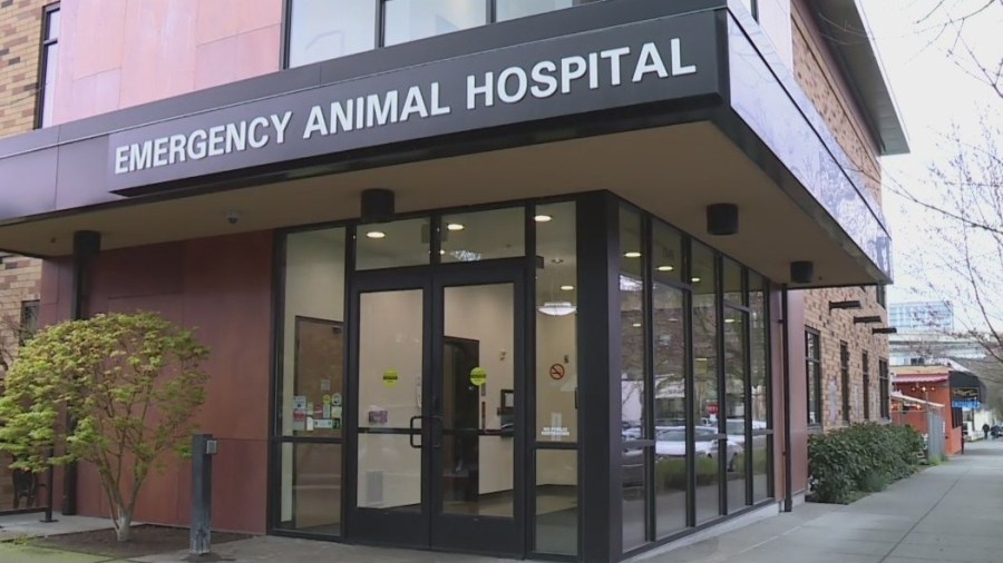 DoveLewis' after-hours vet care facing proposed budget cuts