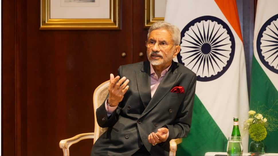 EAM Jaishankar Welcomes German Govt's Support To India In Fight Against Terrorism | India News