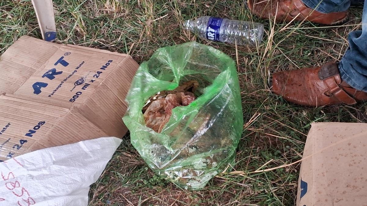 Elephant that died in Coimbatore was pregnant; plastic bags found in animal during post-mortem examination