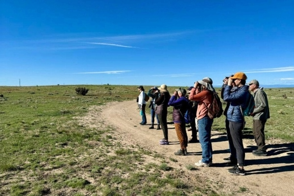 Four days of avian adventures and learning about bats, bugs and other critters