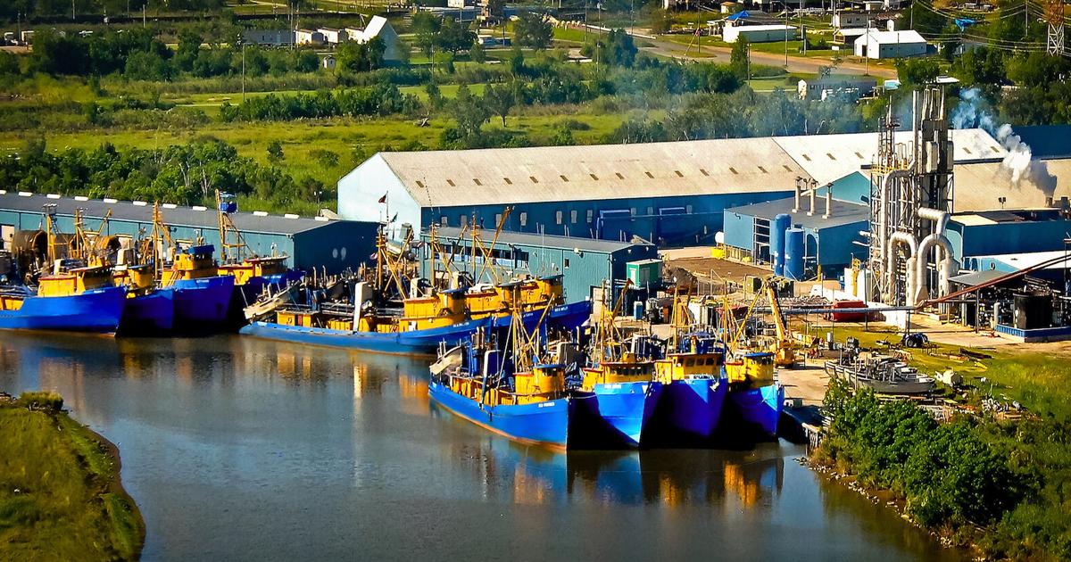 From Gulf to Global Markets: How Menhaden Powers the U.S. and the World | Sponsored: Louisiana Commercial Fisheries Coalition LLC