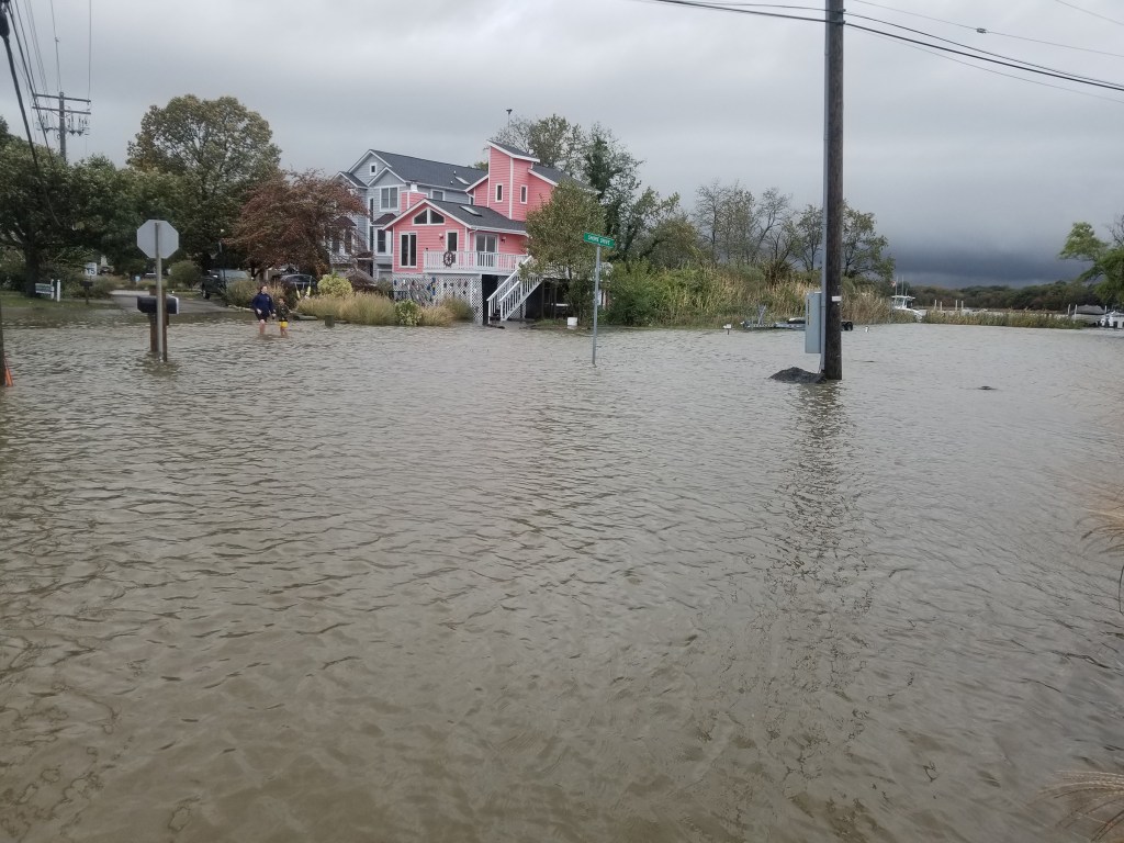 Gerald Winegrad: Environmental devastation reigns under Trump