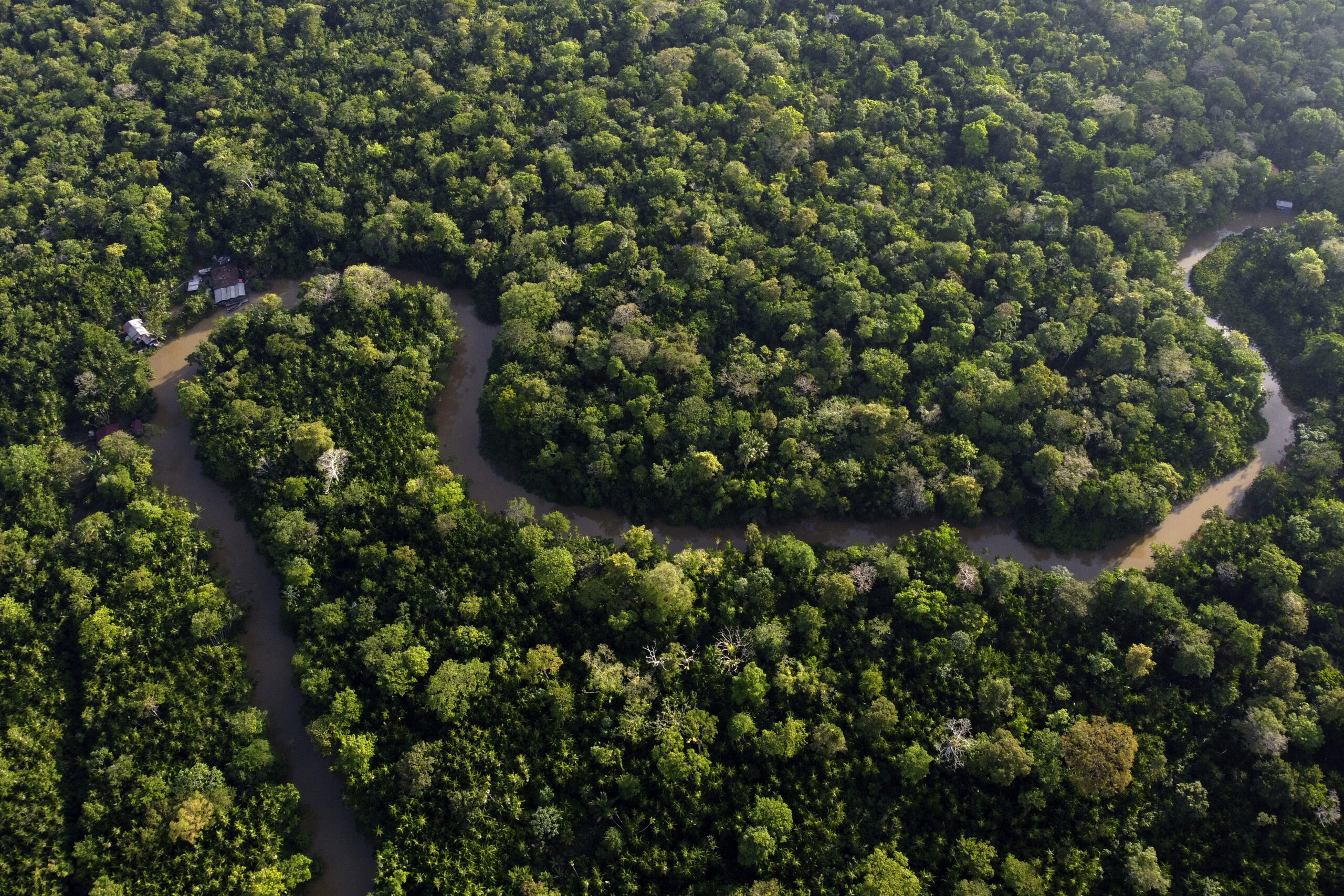 Governors Worldwide Lead The Fight Against Climate Change And Deforestation