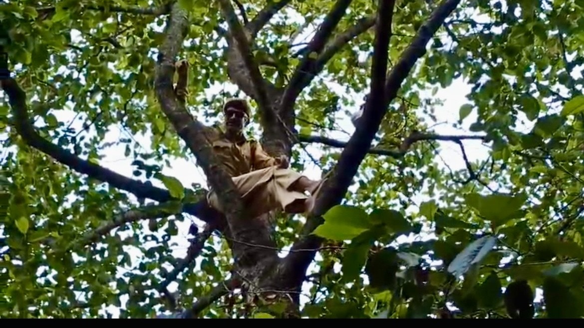 Himachal Pradesh: SPO from Jammu-Kashmir Police threatens suicide over salary, climbs tree in Dalhousie, rescued by Bani MLA after 5 hours