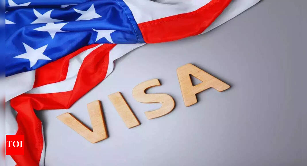 Hope US treats student visa applications on merit: MEA | India News