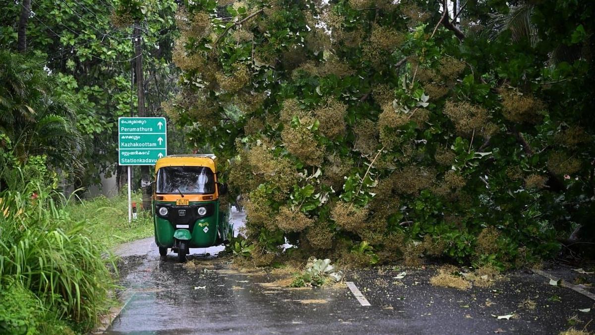 IMD declares red alert for seven districts in Kerala