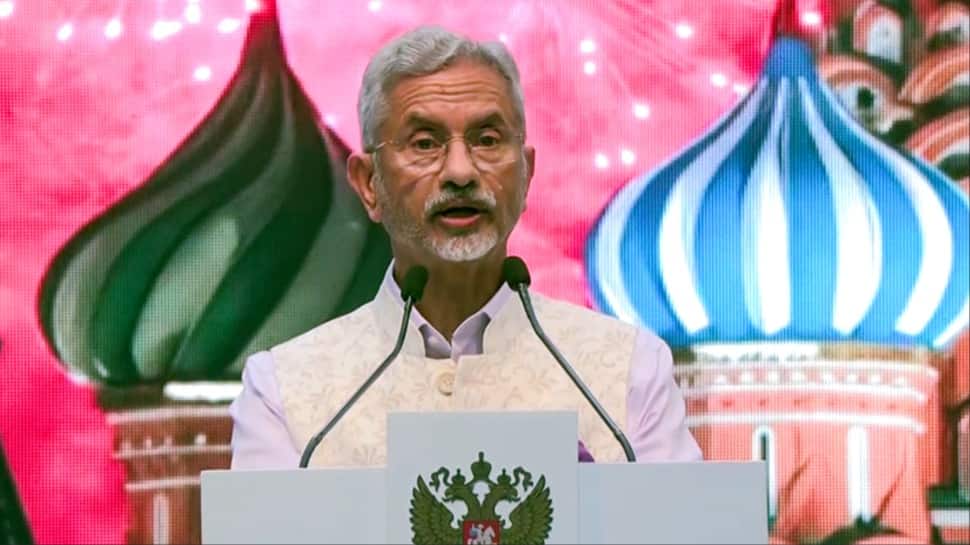 'If Terrorists Are Hiding In Pakistan....': EAM Jaishankar's Fresh Warning Amid Operation Sindoor Pause | India News