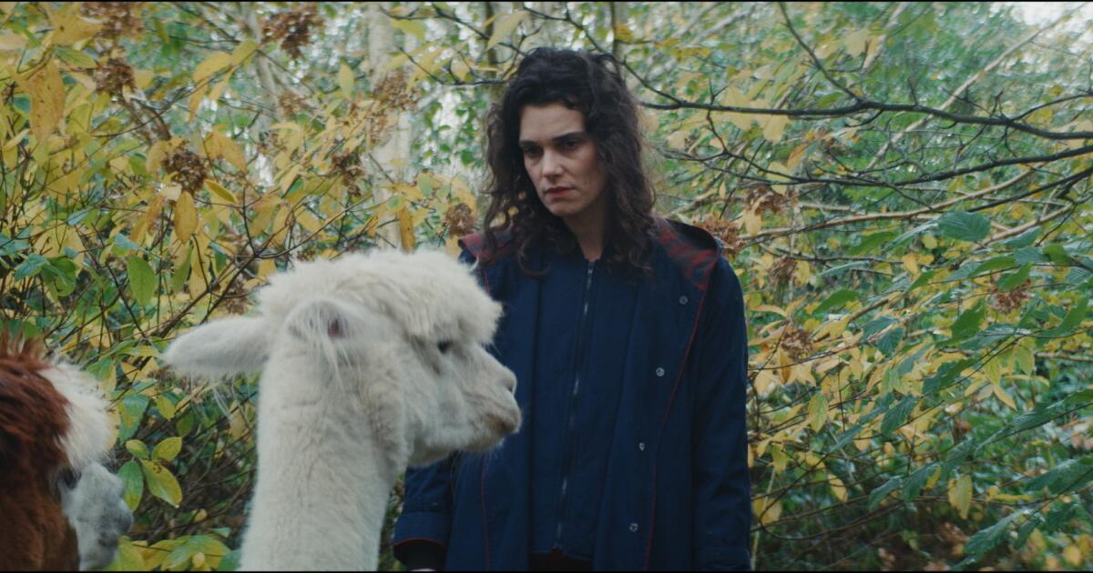 'Jane Austen Wrecked My Life' review: A winning romance among the bookish