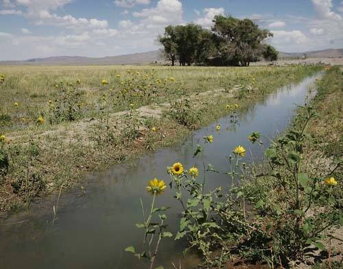 LETTER: Agriculture provides plenty of useful benefits from Colorado River water | Letters