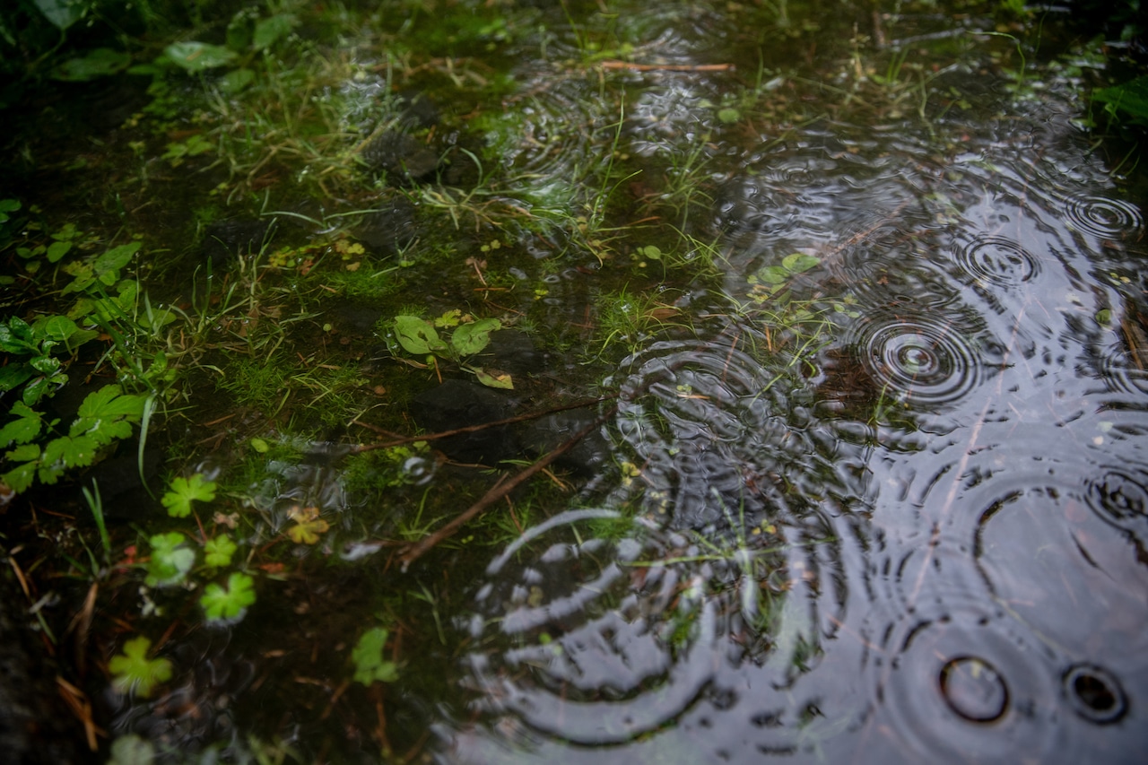 Mass. weather: Nor’easter to drench state with cold rain, whipping winds