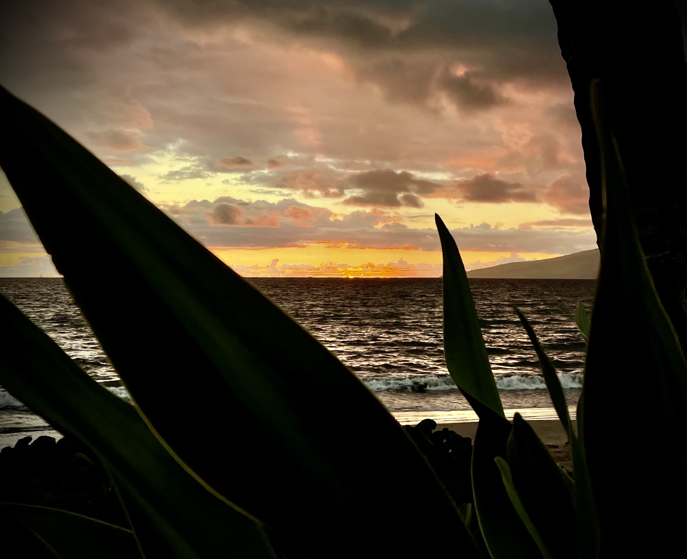 Maui Surf Forecast for May 27, 2025 : Maui Now