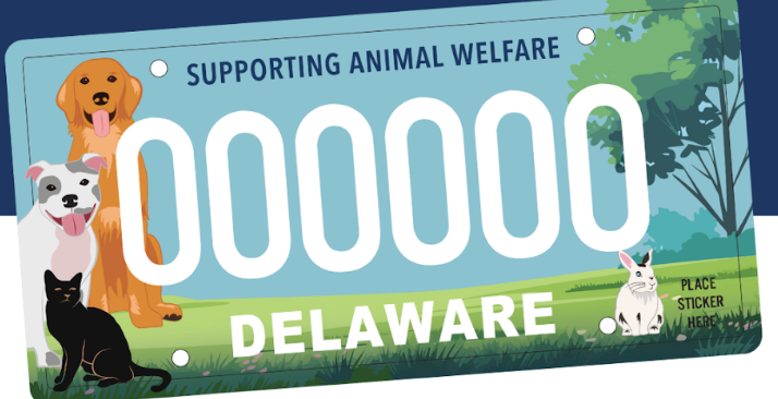 The playful and vibrant plates help raise funds for the state's animal welfare efforts.