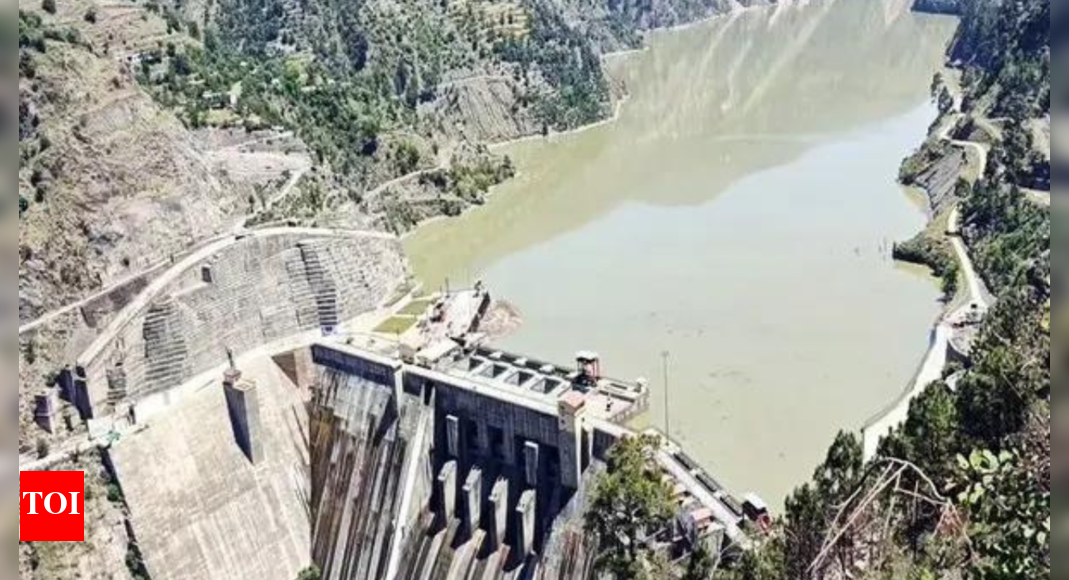 'Pakistan put in abeyance goodwill and friendship': MEA on India suspending Indus Waters Treaty | India News