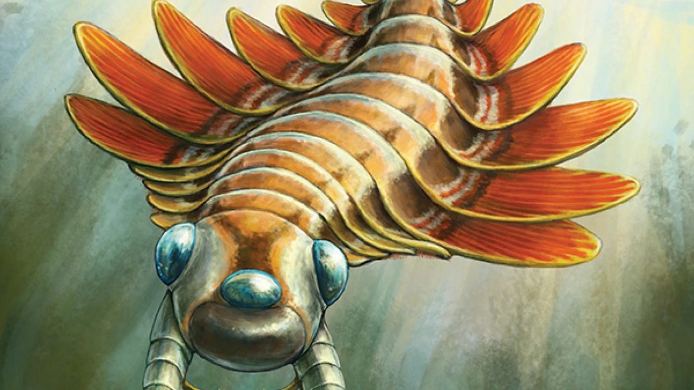 Paleontologists discover a 500-million-year-old, 3-eyed predator : NPR