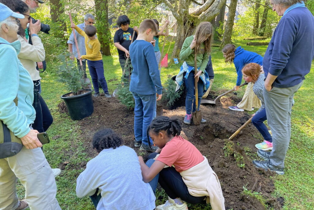 A group of fourth-grade Harborview Elementary School students share the digging and planting task at Juneau’s newest accredited arboretum on Arbor Day, celebrated Monday, May 19, 2025. (Laurie Craig / For the Juneau Empire)