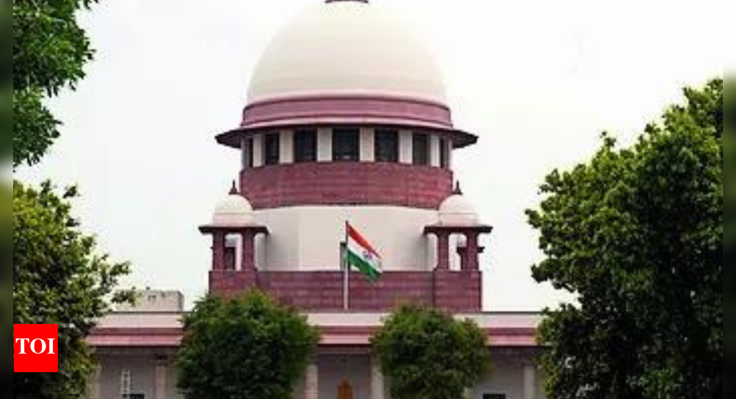 Probe 171 alleged fake encounters in 2021: SC to Assam rights panel | India News