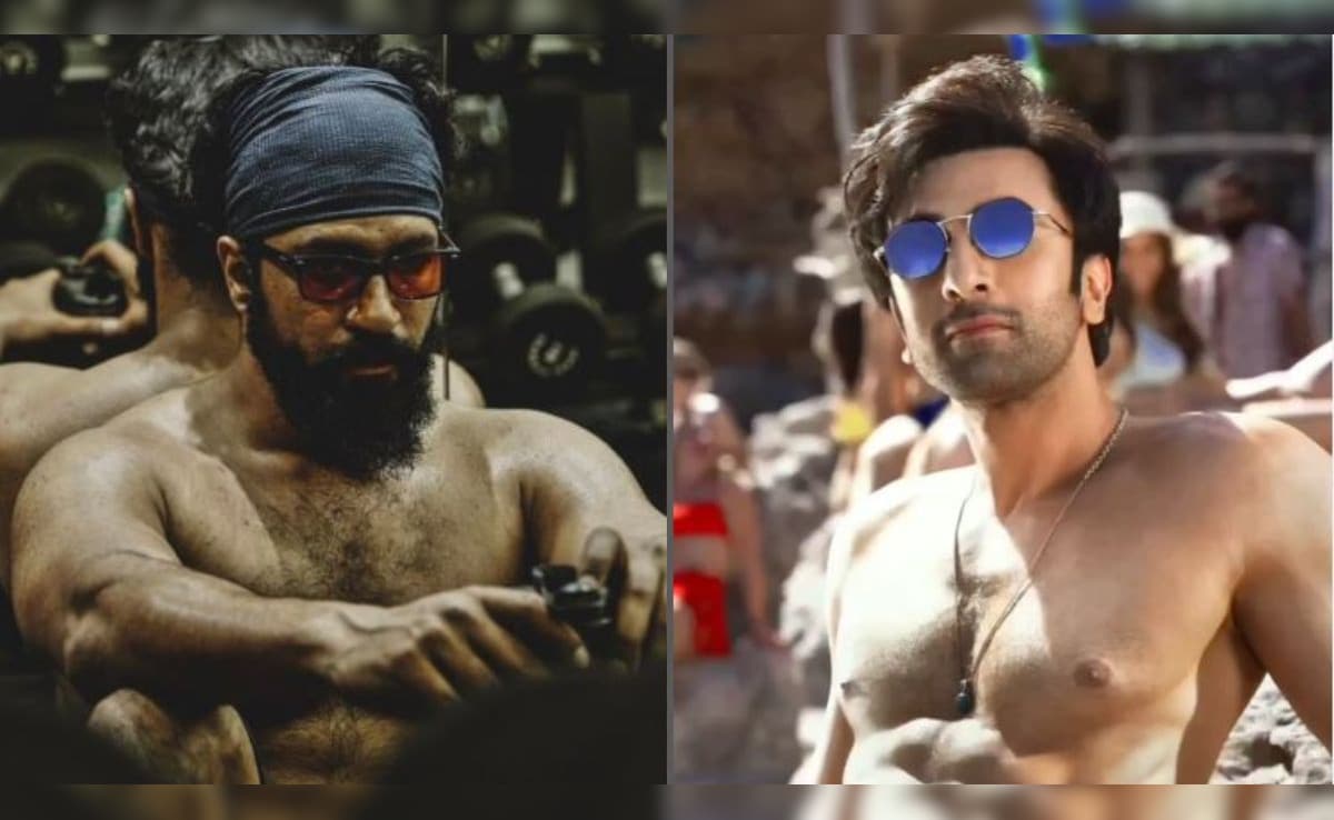 Ranbir Kapoor And Vicky KaushaI's Intense Body Transformation For Love & War. New Details Revealed