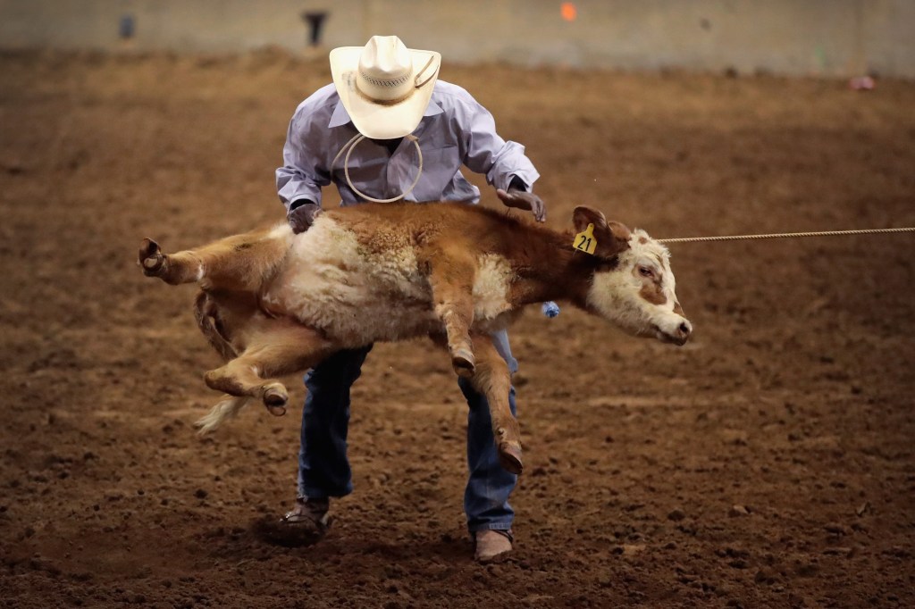 Readers sound off on rodeo's effects, Biden critics and subway shoves