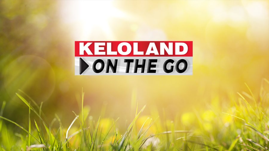 Record fish caught; Rhoden at border; Sunny today