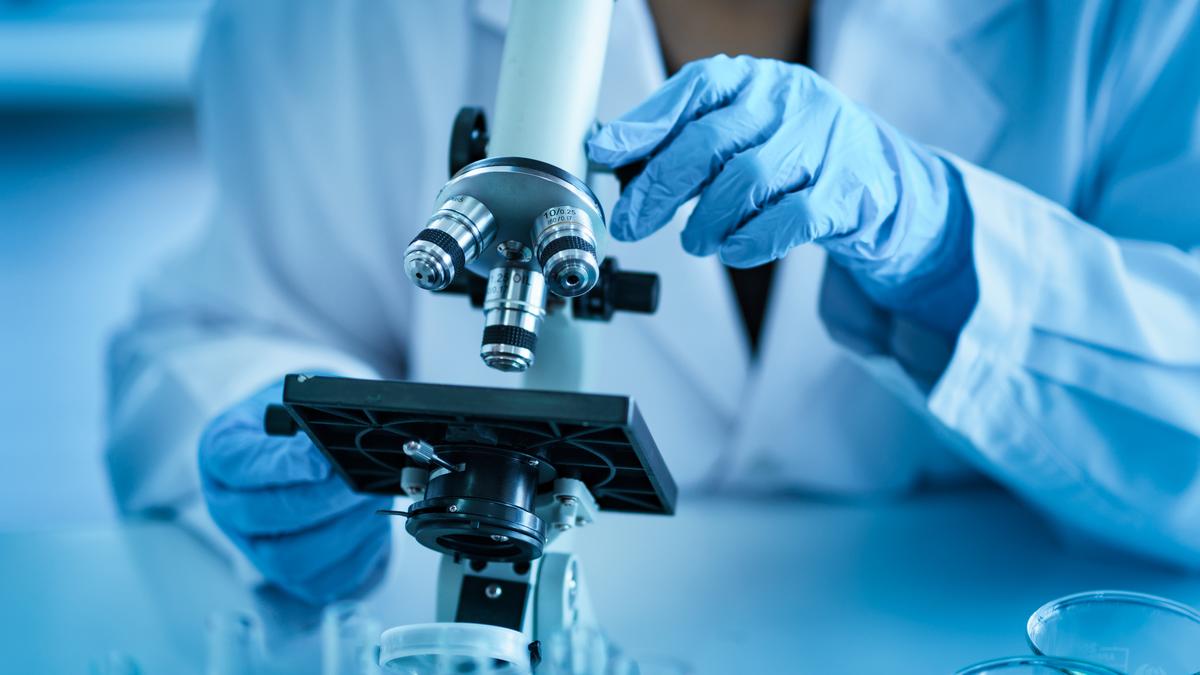 Research scholars upset over DST’s delay in release of stipends