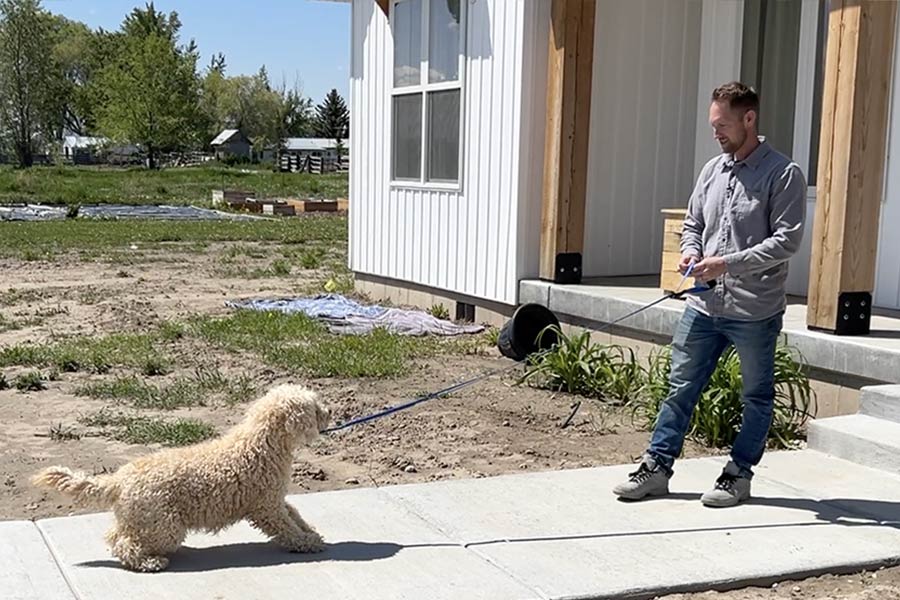 Rigby man created leash that gives customers more control of their dog. Here's how it works