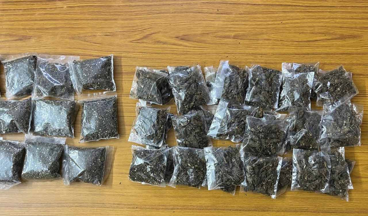 Rowdy sheeters turn to ganja trade in Hyderabad as lucrative drug business attracts hardcore criminals