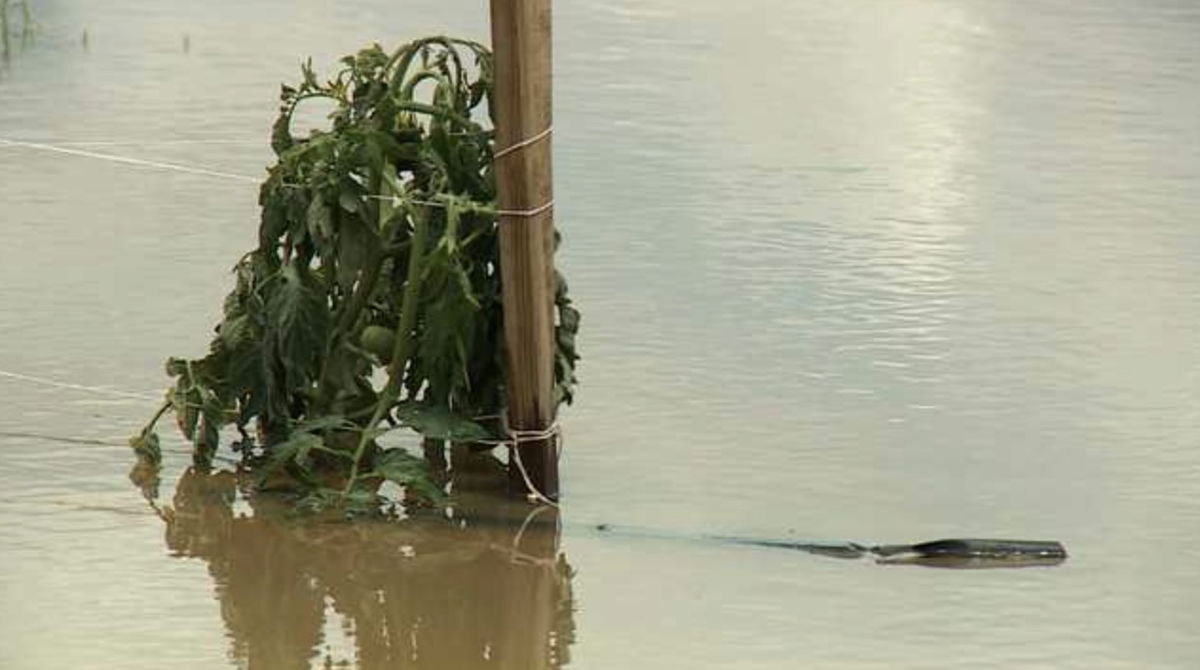 WVTM via CNN NewsourceChad Smith and his family have owned this Steele