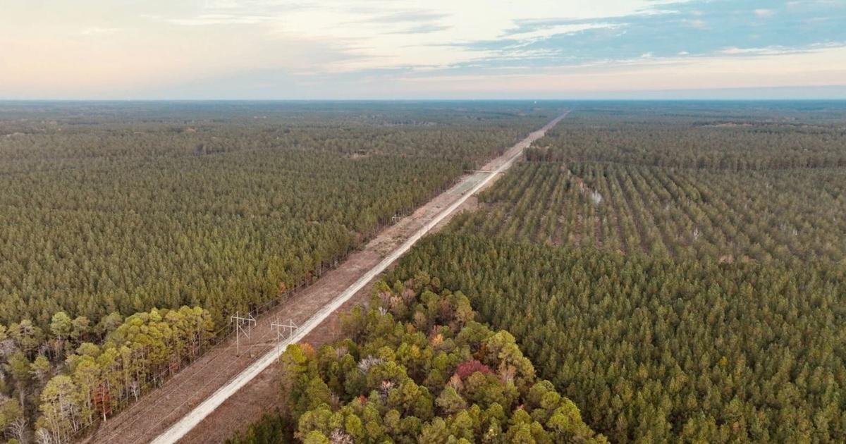 SC to gain a new forest with $11.35M timber tract purchase