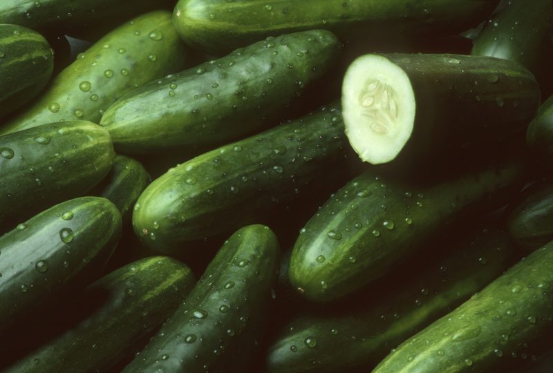 Salmonella outbreak: Cucumber products sold at Mississippi stores recalled