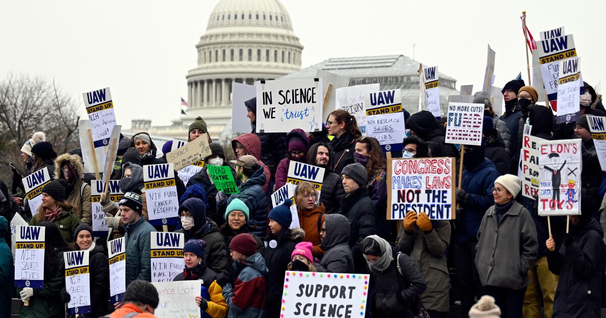 Scientists have lost their jobs or grants in US cuts. Foreign universities want to hire them