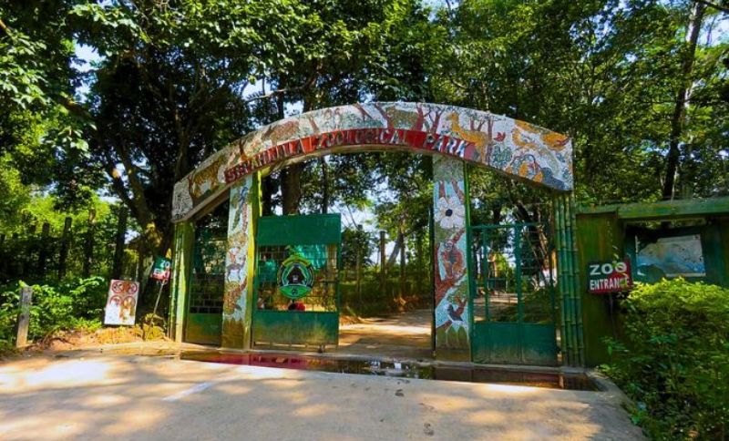 Sepahijala Zoo reports deaths of two lion cubs and spotted deer