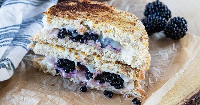 Upgrade Summer Lunches with Nutritious Twists on Grilled Cheese | Food, Recipes & Entertaining