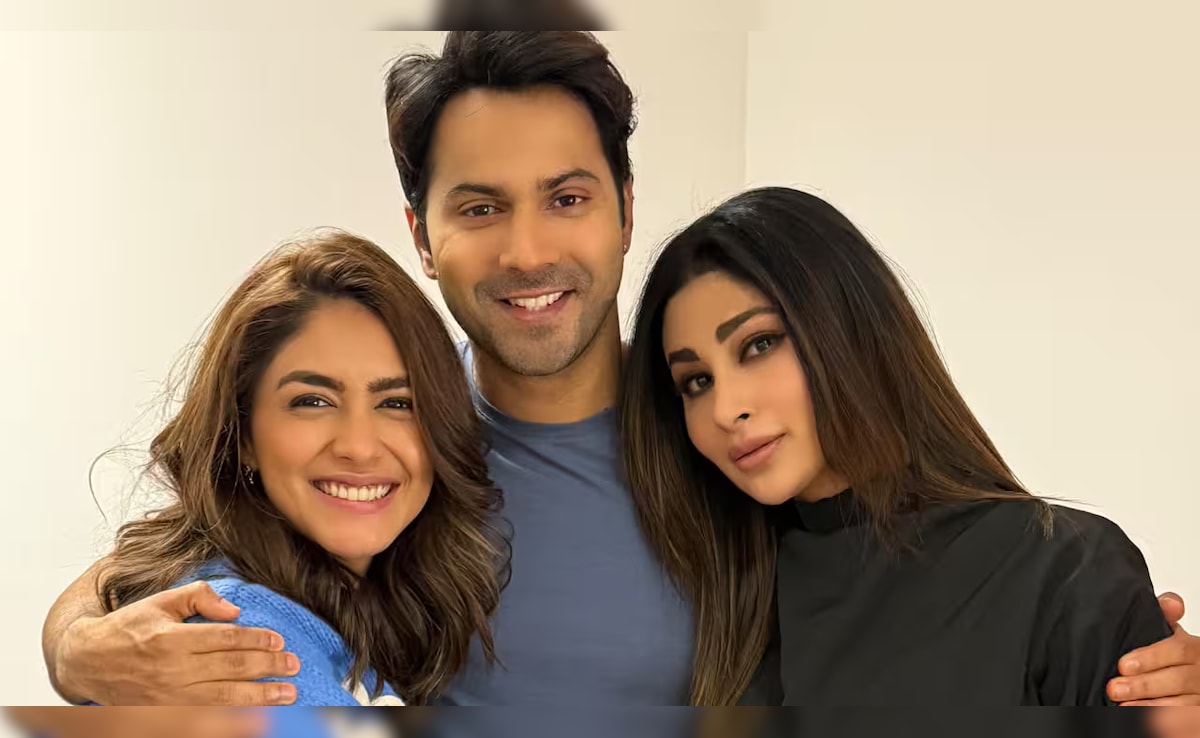 Varun Dhawan And Mrunal Thakur's Film To Release On This Date