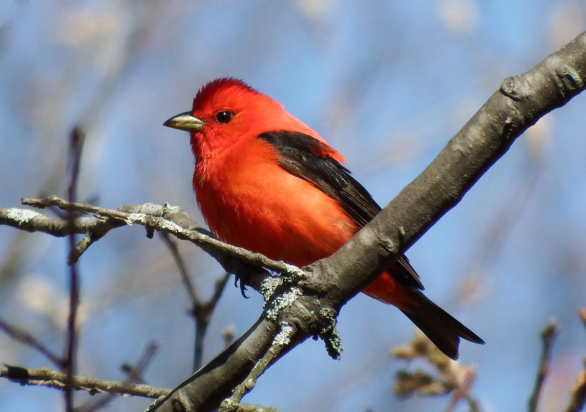 What you need to know in Maine today