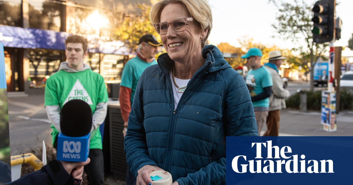 Zoe Daniel requests recount in seat of Goldstein after Liberal Tim Wilson wins with 260 votes | Australian election 2025