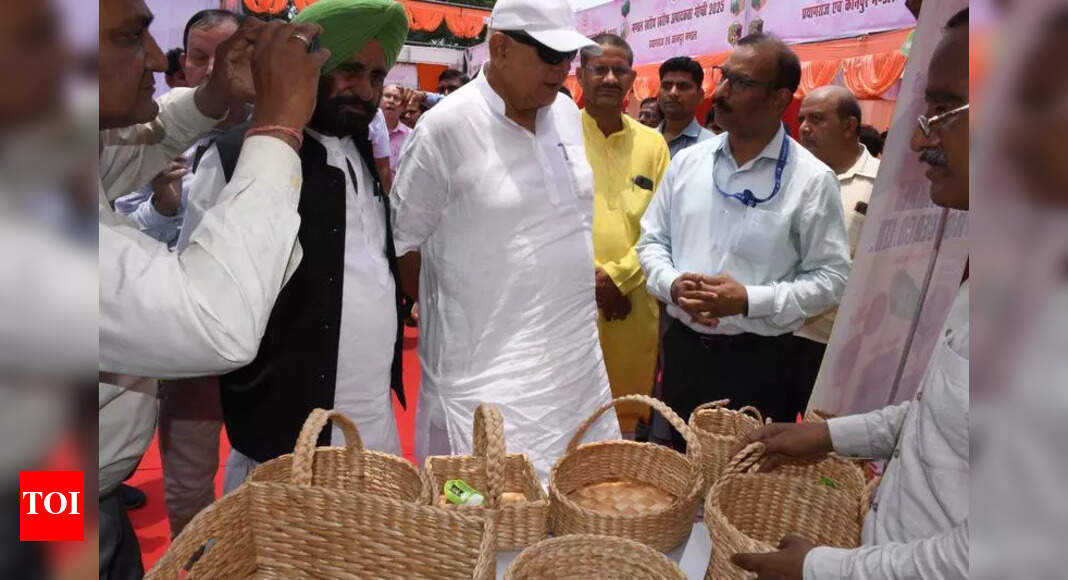 ‘Farmers must adopt mixed cropping to improve yield, soil health’ | Prayagraj News