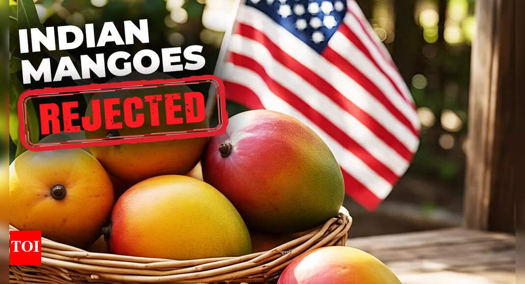 ‘Instead of discussing the matter...’: Row erupts over India’s mango exports rejection; authorities say US inspectors did not follow protocol