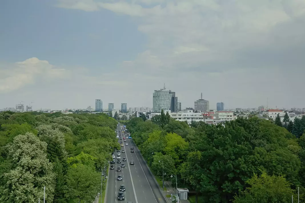 60% of air contamination comes from vehicles