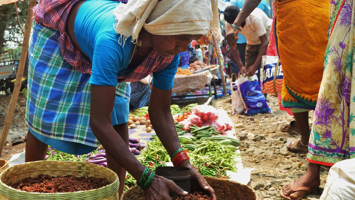 Chhattisgarh govt. nod for policy to promote tourism in tribal-dominated areas