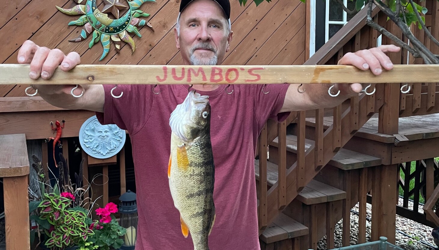 Chicago outdoors: Jumbo perch, mulberry-time and five salmon/trout species day