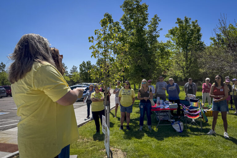 Douglas County voters decide Tuesday on home rule. What they could get from it is up for debate