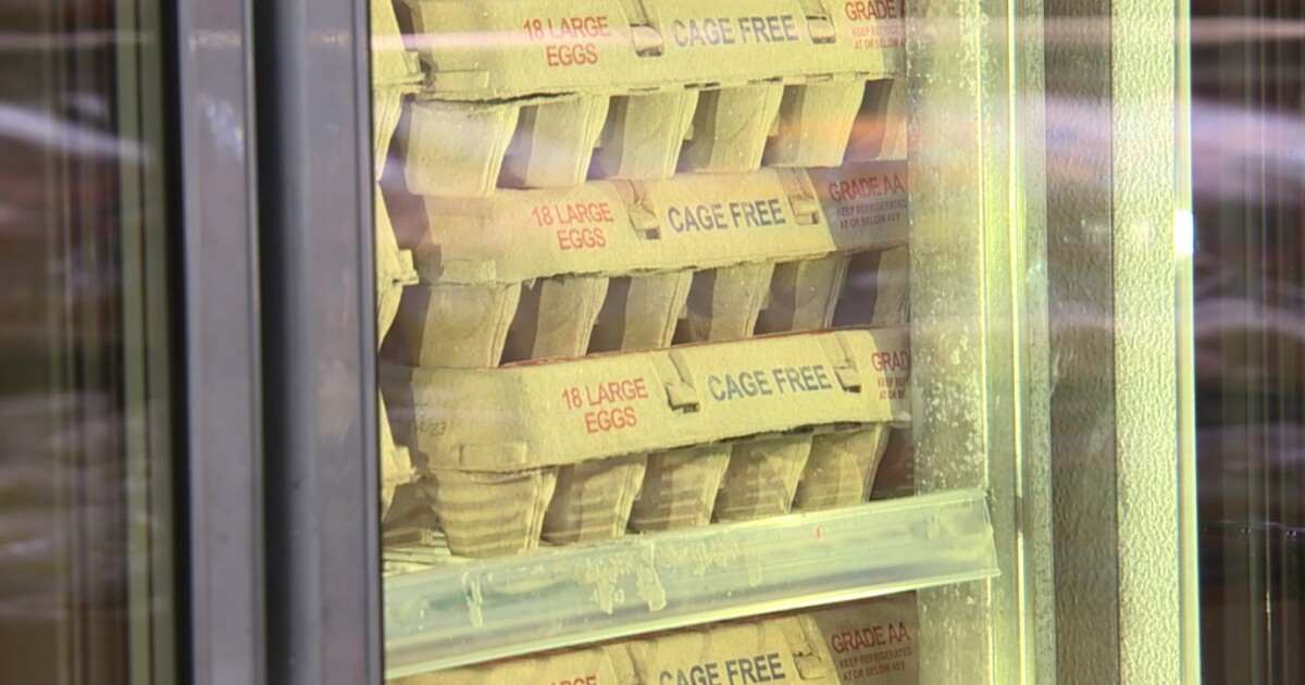 Eggs sold at Arizona Walmarts recalled for possible salmonella contamination