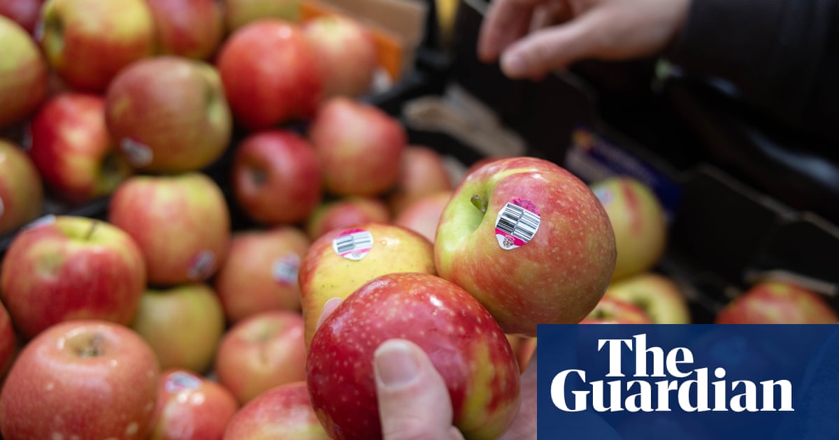 Fruit stickers are annoying and bad for the environment. So why did an Australian ban come unstuck? | Plastics