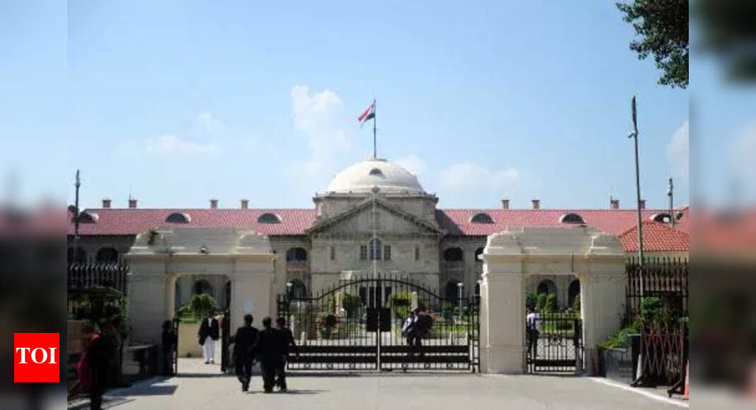 HC: Law protects adult woman’s right to marry | Prayagraj News