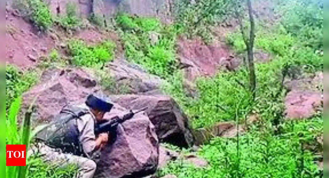 Jaish terrorist being tracked for a year killed in J&K, 3 others trapped | Jammu News