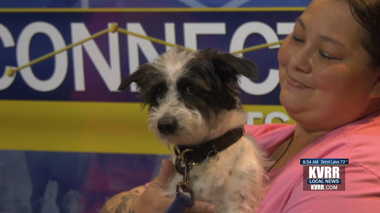 LIVE: Pet Connection: Meet Arthur